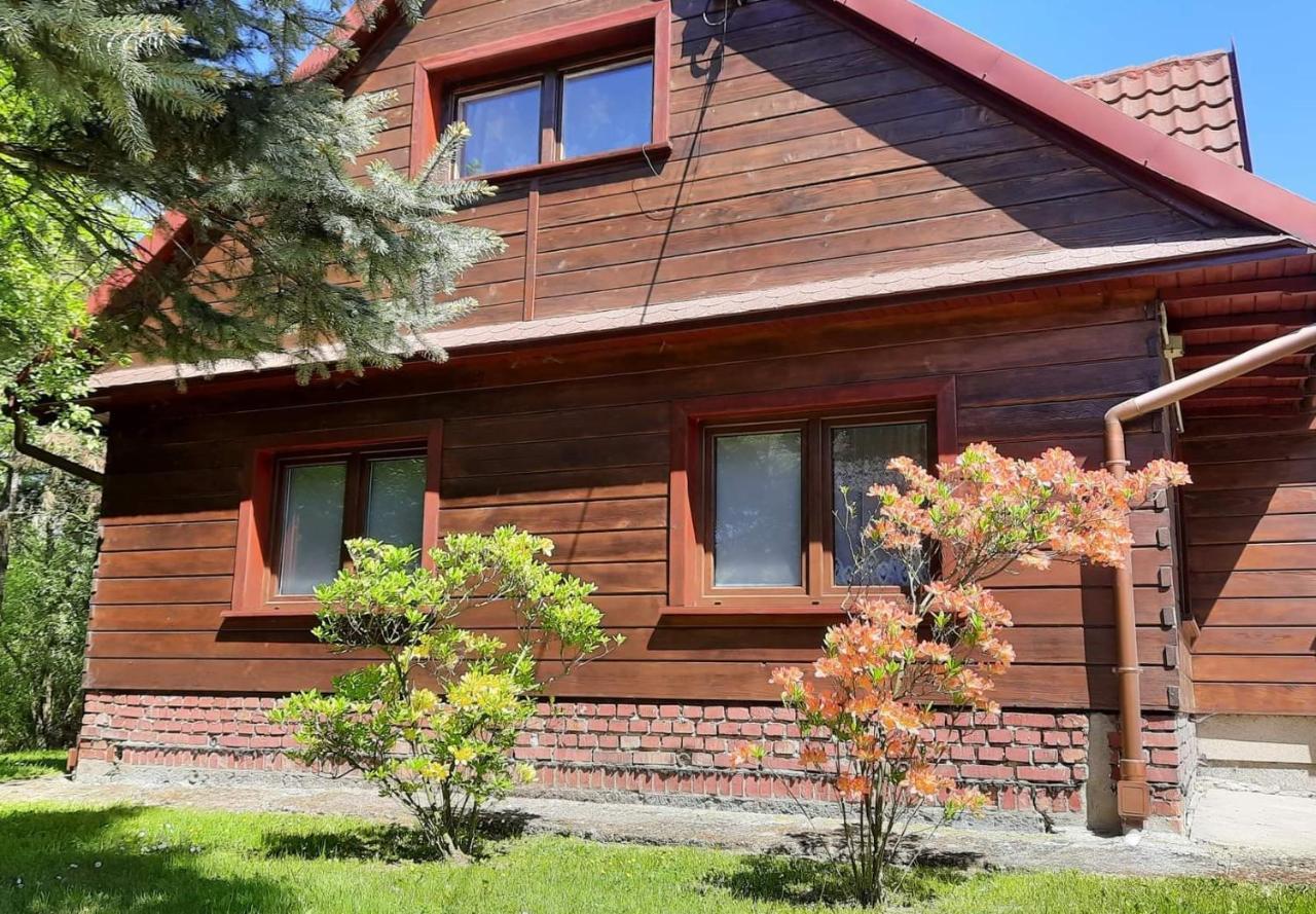 Domek Zacisze Laskowa  Εξωτερικό φωτογραφία